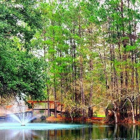 Waterfront Houston Hide Out In A Magical Forest Waller Exterior photo