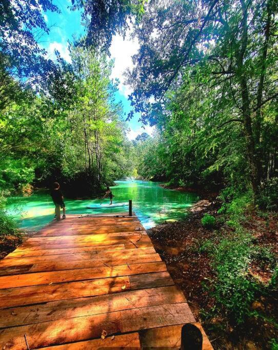 Waterfront Houston Hide Out In A Magical Forest Waller Exterior photo