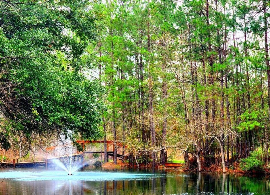 Waterfront Houston Hide Out In A Magical Forest Waller Exterior photo